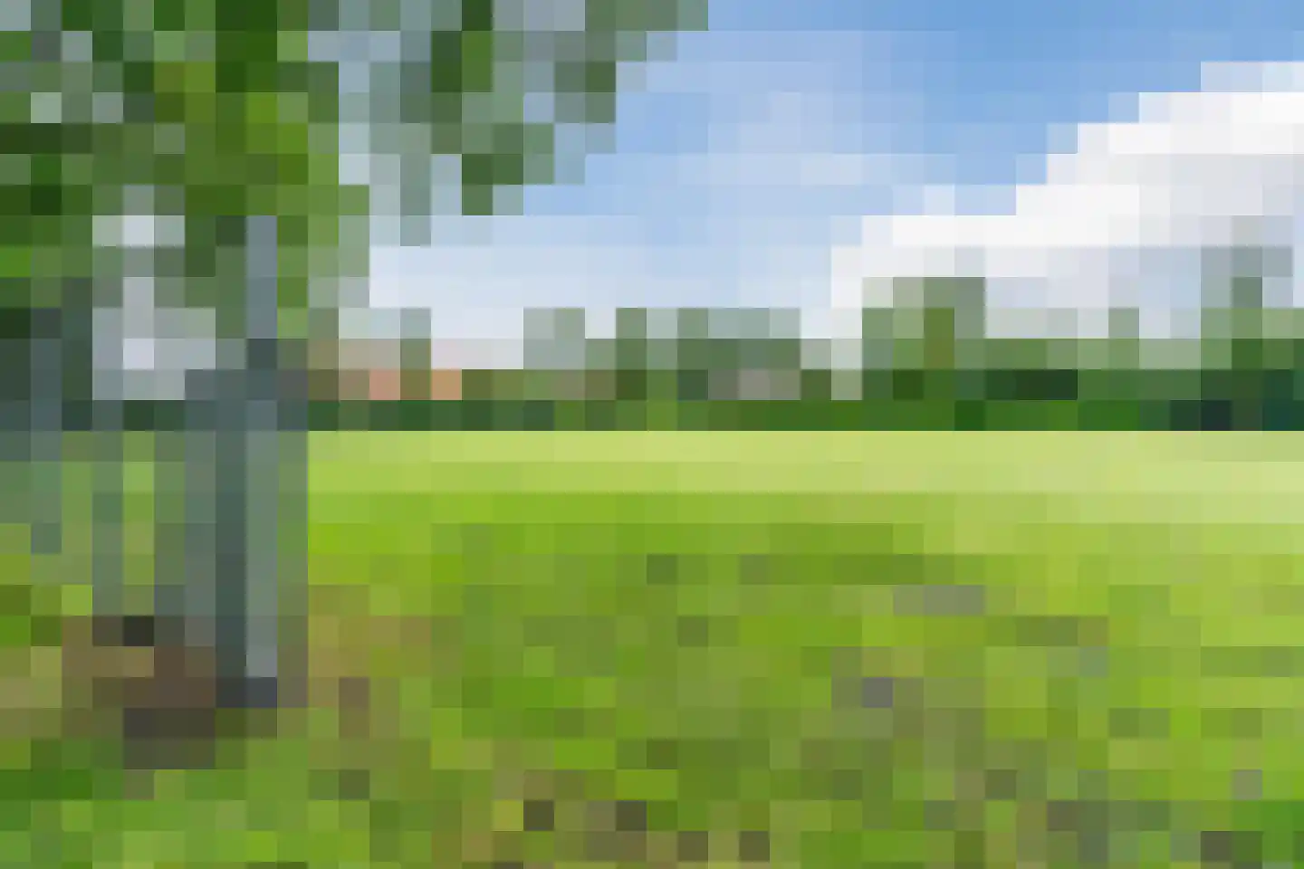 Zuideropgaande 142 Hollandscheveld thumbnail 43