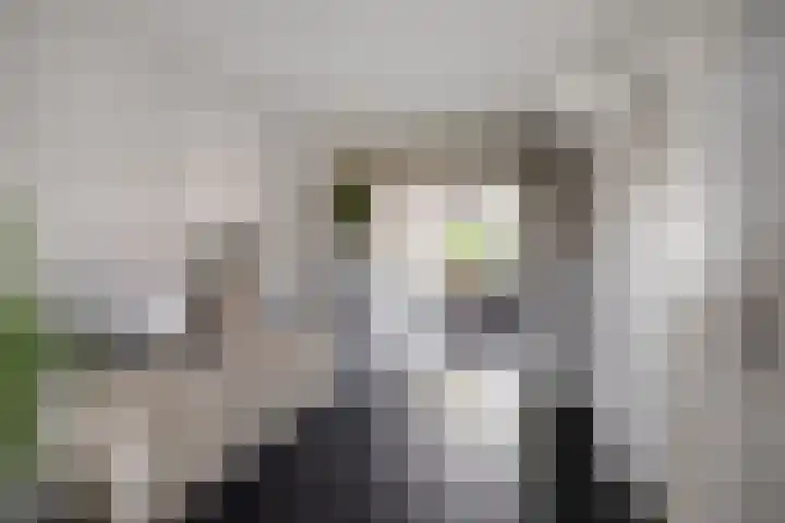 Zuideropgaande 24 h Hollandscheveld thumbnail 10