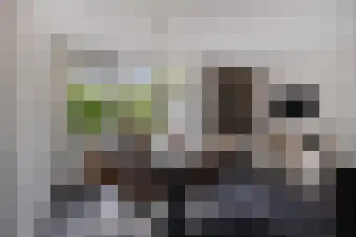 Zuideropgaande 24 h Hollandscheveld thumbnail 11