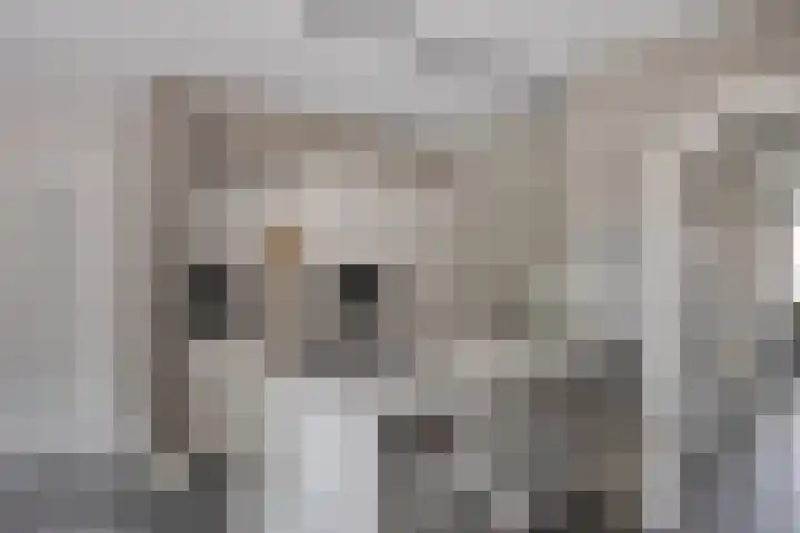 Zuideropgaande 24 h Hollandscheveld thumbnail 13