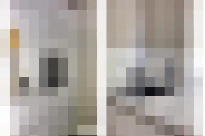 Zuideropgaande 24 h Hollandscheveld thumbnail 14