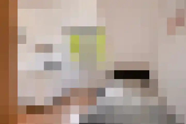 Zuideropgaande 24 h Hollandscheveld thumbnail 26