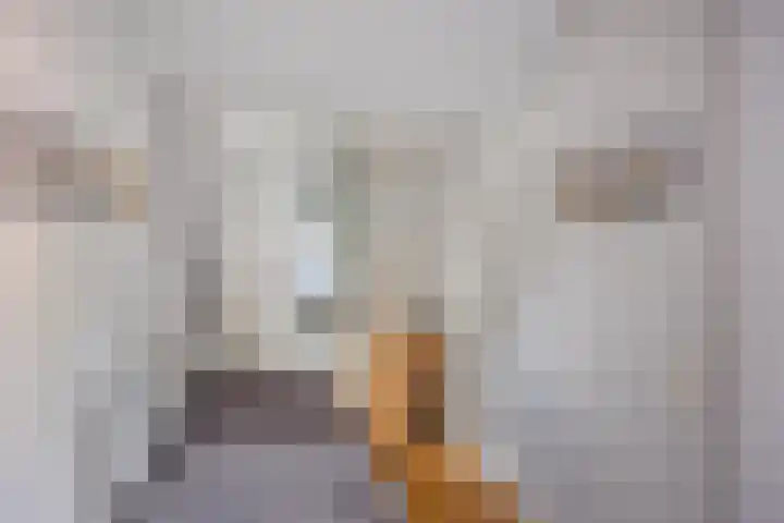Zuideropgaande 24 h Hollandscheveld thumbnail 29