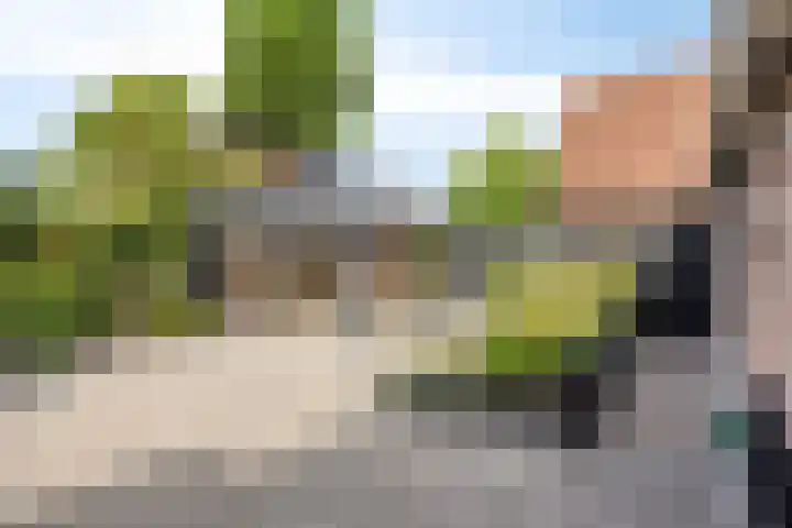 Zuideropgaande 24 h Hollandscheveld thumbnail 35