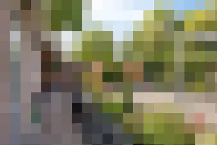 Zuideropgaande 24 h Hollandscheveld thumbnail 37