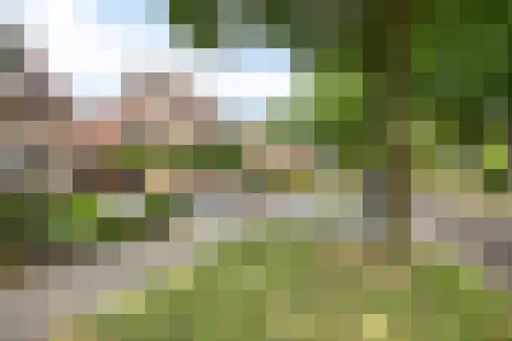 Zuideropgaande 24 h Hollandscheveld thumbnail 40