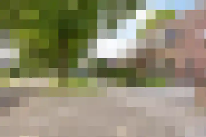 Zuideropgaande 24 h Hollandscheveld thumbnail 41