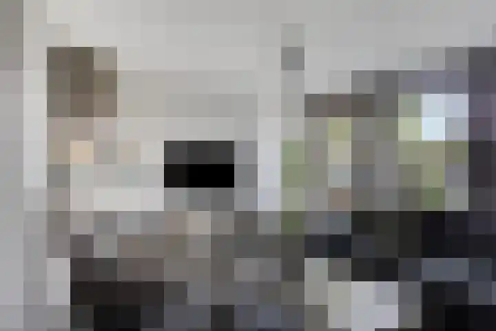 Zuideropgaande 24 h Hollandscheveld thumbnail 5