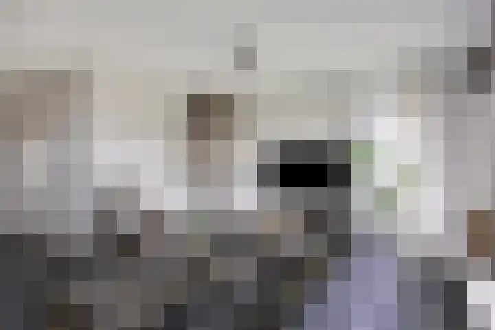 Zuideropgaande 24 h Hollandscheveld thumbnail 8