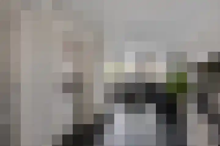 Zuideropgaande 24 h Hollandscheveld thumbnail 9