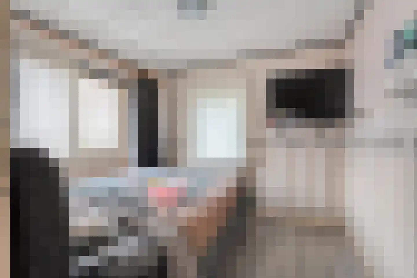 Zuideropgaande 91 Hollandscheveld thumbnail 14