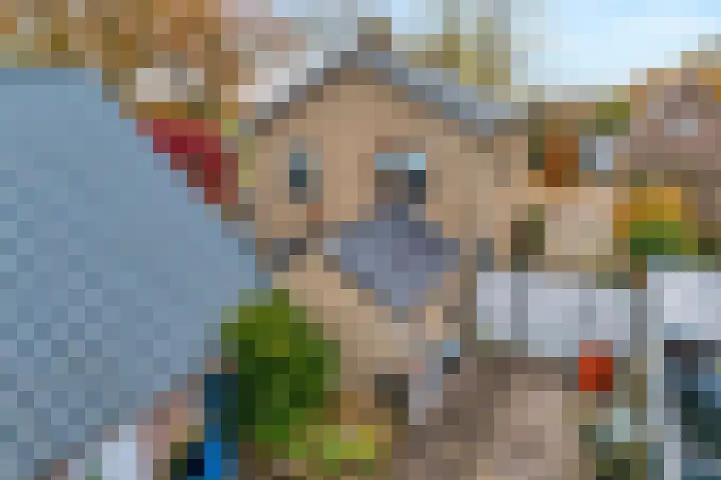 Zuideropgaande 91 Hollandscheveld thumbnail 21