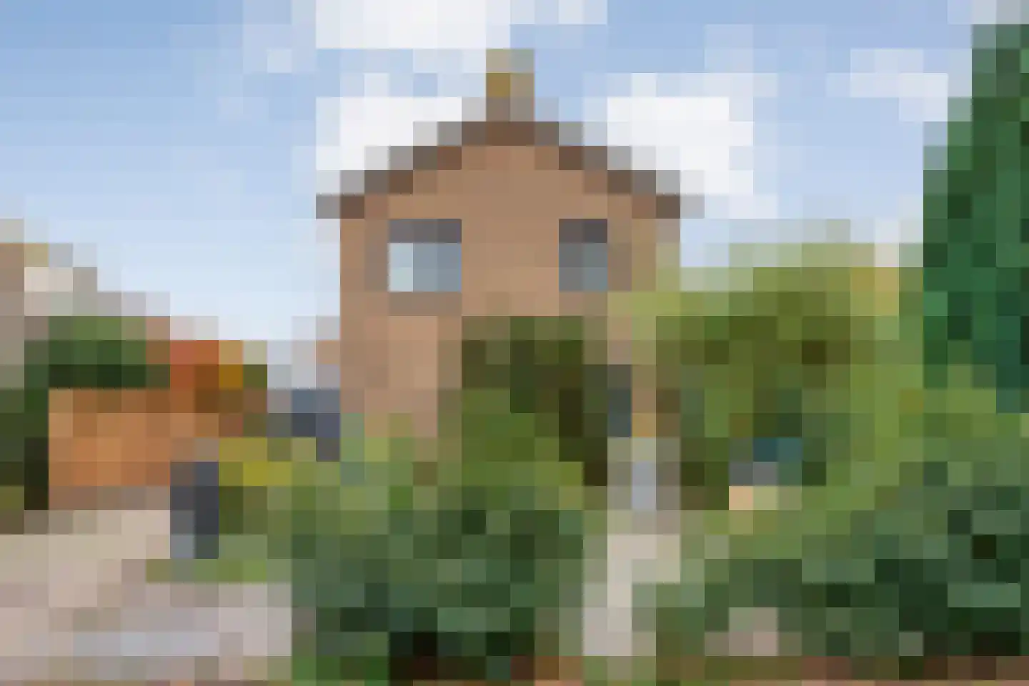 Zuideropgaande 91 Hollandscheveld thumbnail 26