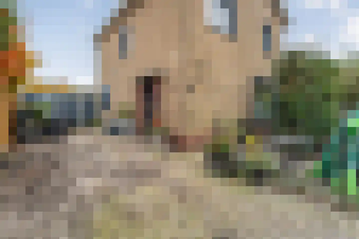 Zuideropgaande 91 Hollandscheveld thumbnail 27
