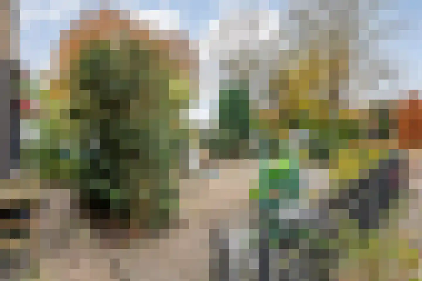 Zuideropgaande 91 Hollandscheveld thumbnail 28
