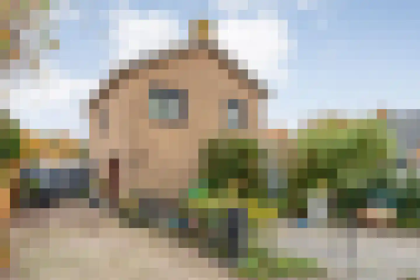 Zuideropgaande 91 Hollandscheveld thumbnail 30