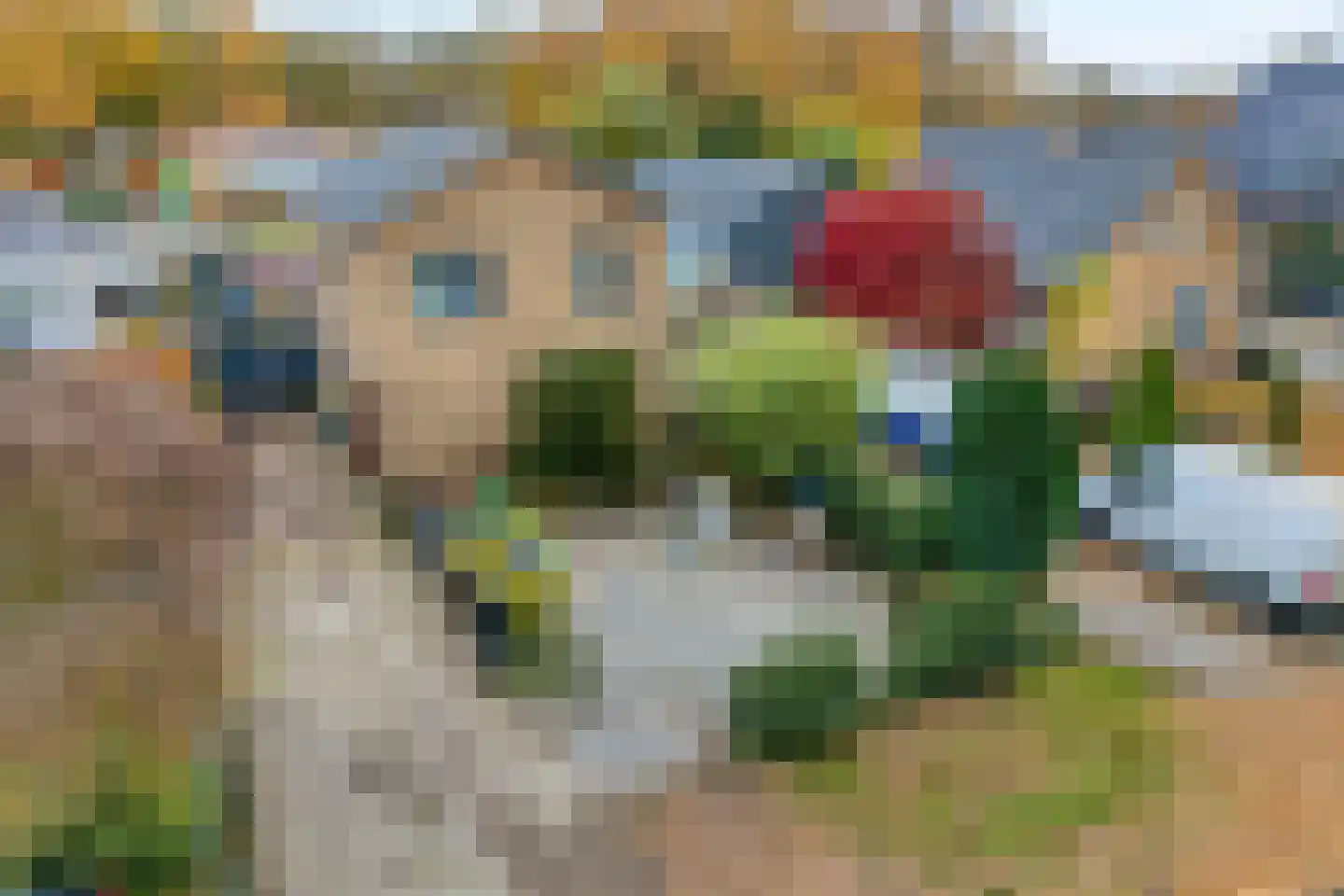 Zuideropgaande 91 Hollandscheveld thumbnail 32