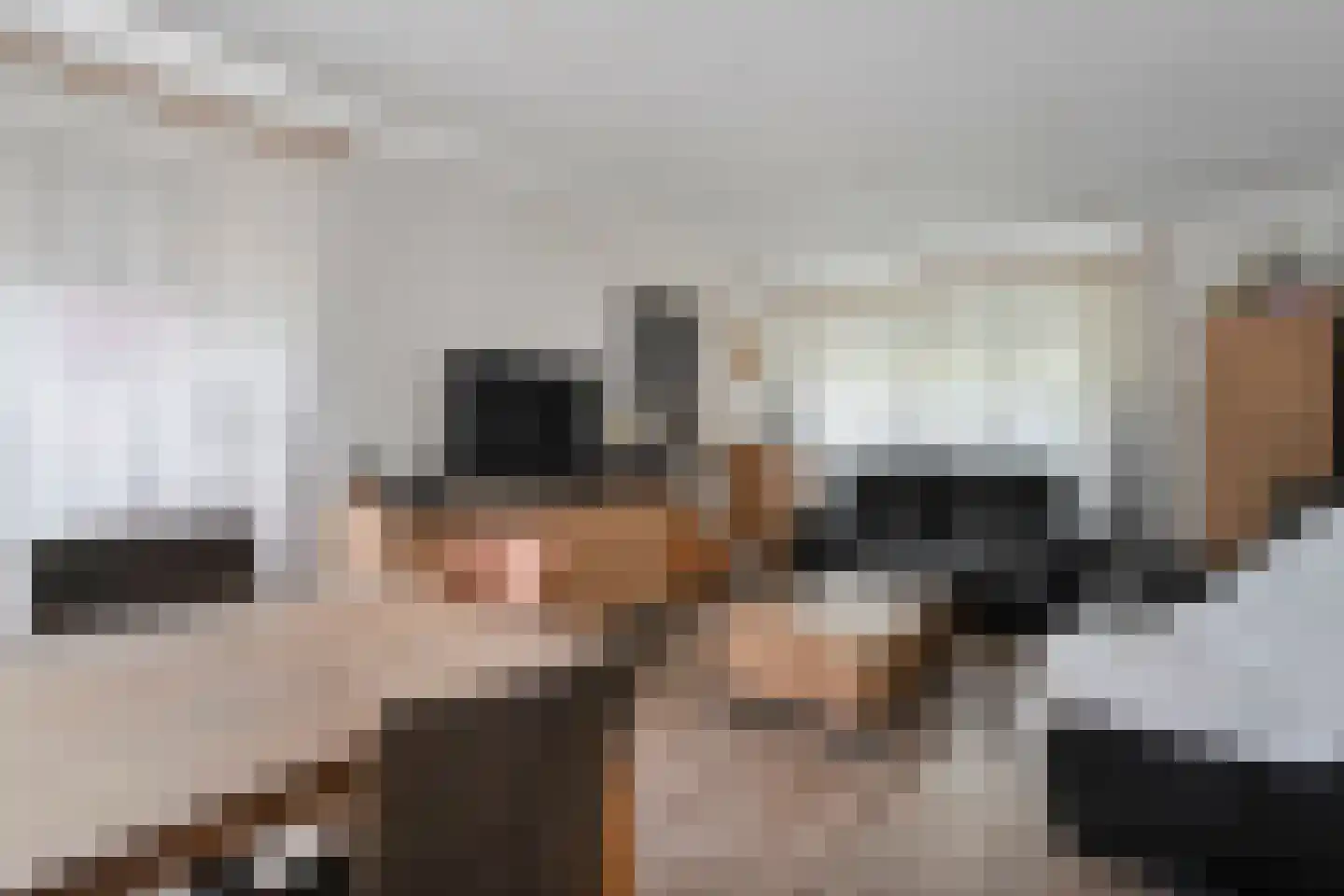 Zuideropgaande 91 Hollandscheveld thumbnail 6