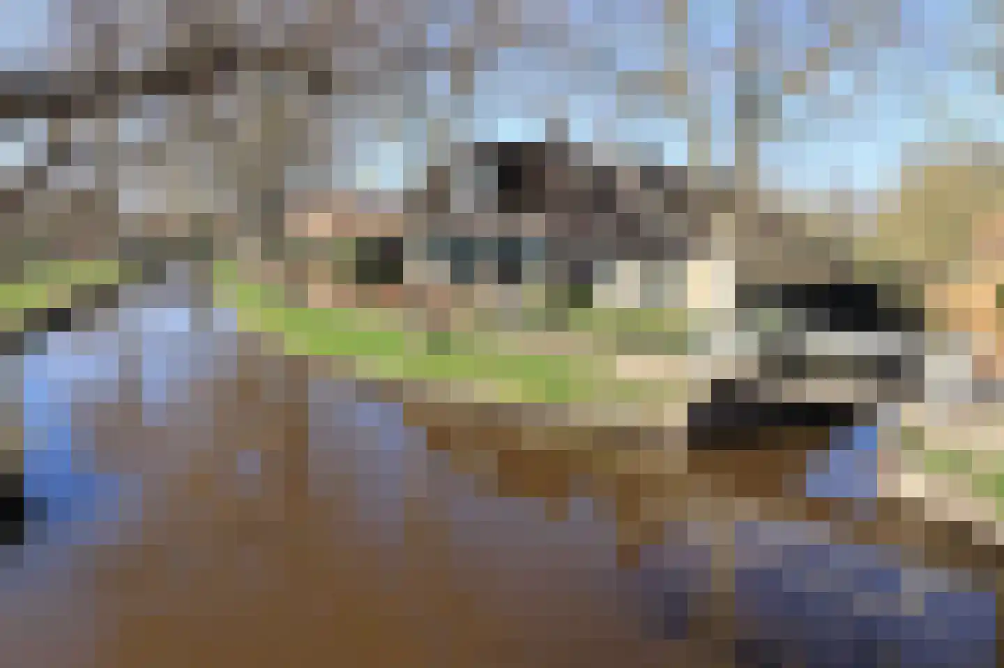 Zuiderpad 18 Giethoorn foto 3