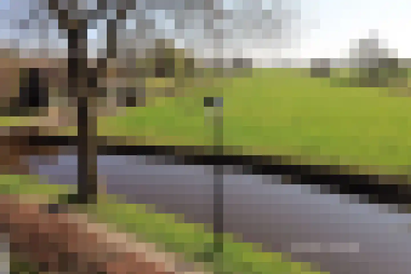 Zuiderpad 18 Giethoorn thumbnail 30