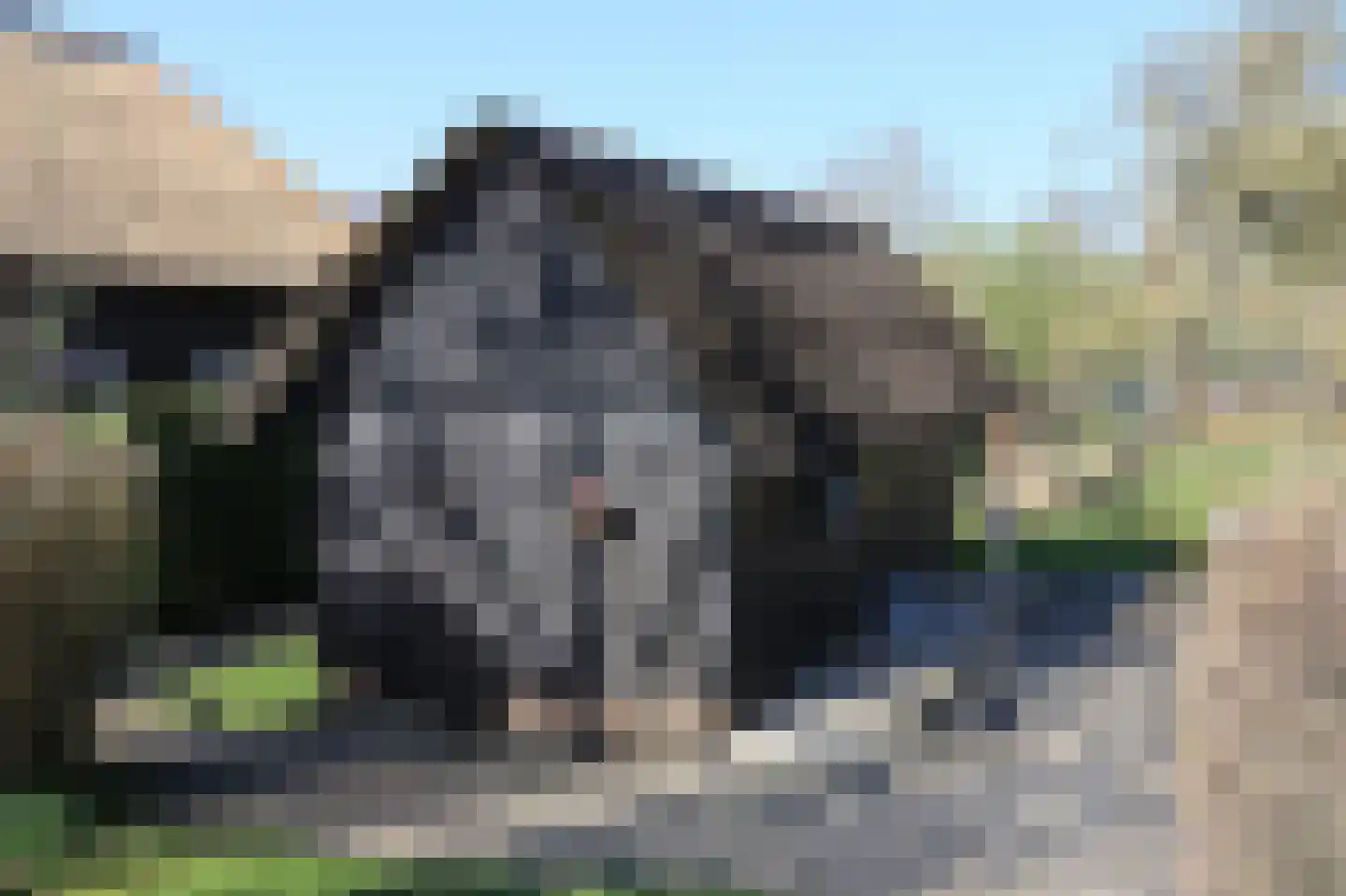 Zuiderpad 18 Giethoorn thumbnail 31