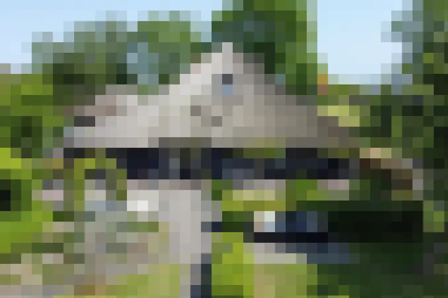 Zuiderpad 18 Giethoorn thumbnail 5