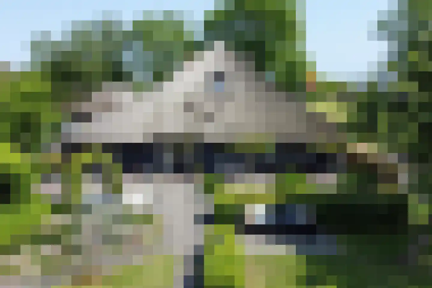 Zuiderpad 18 Giethoorn thumbnail 5