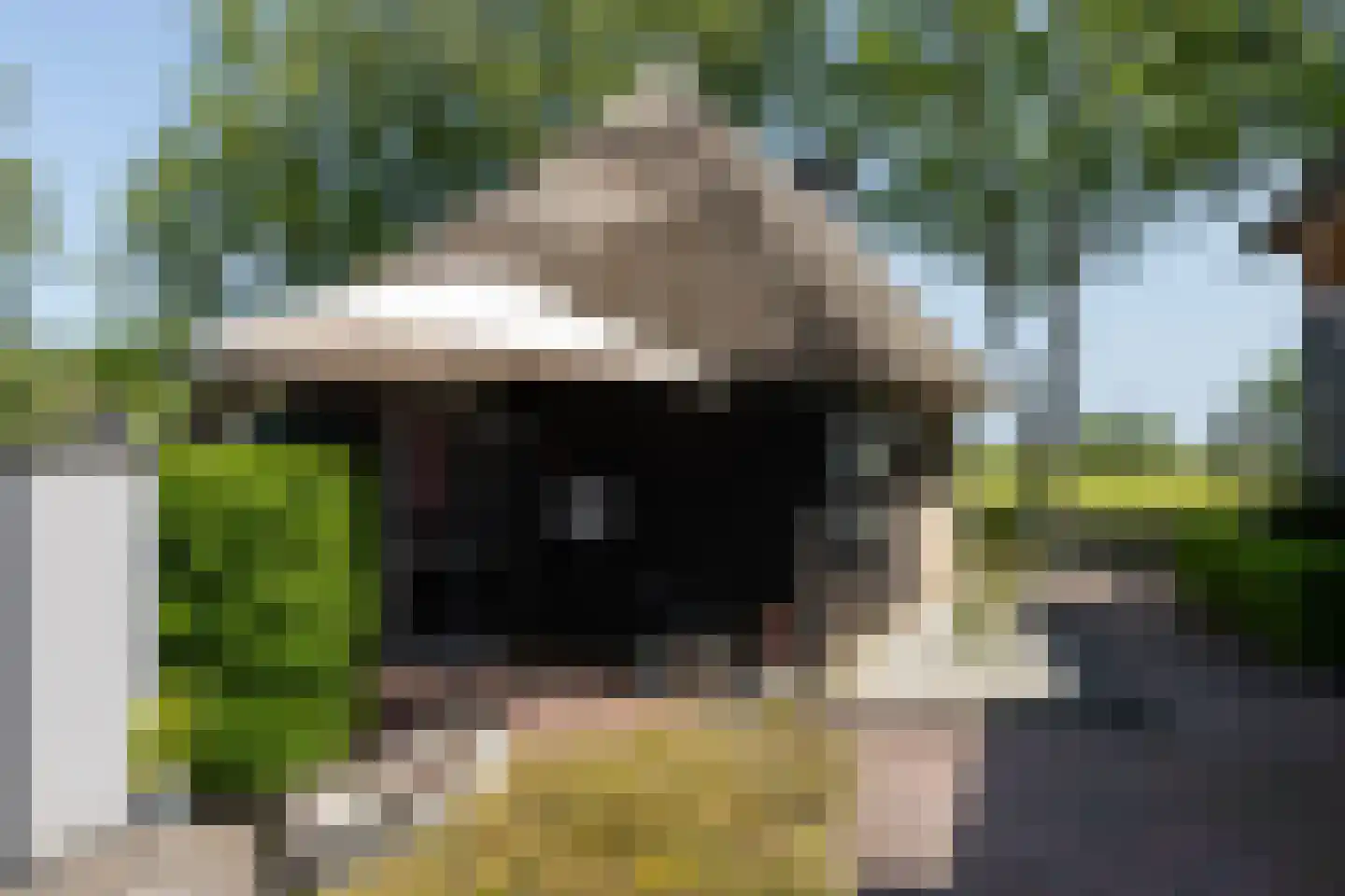 Zuiderpad 18 Giethoorn thumbnail 50