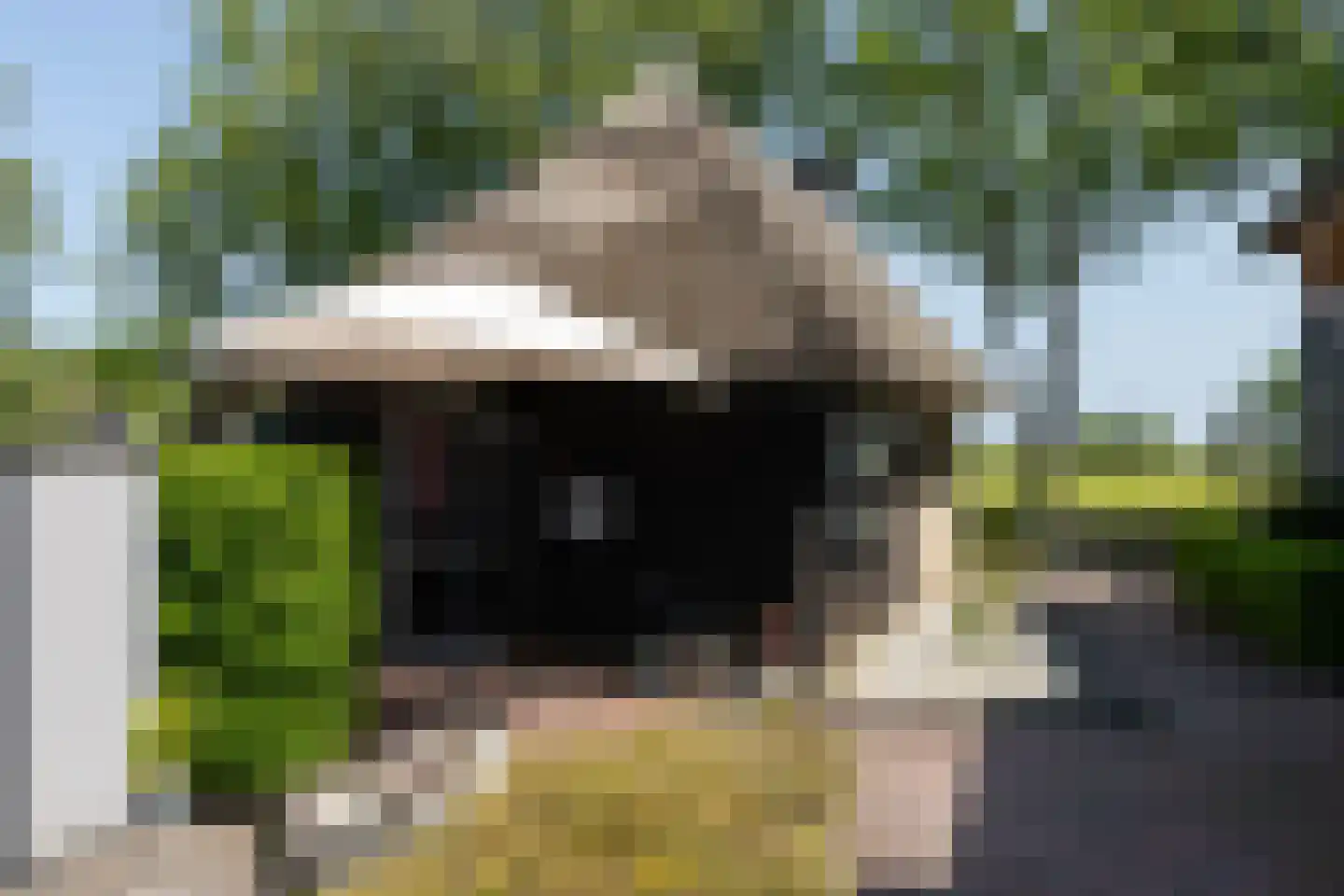 Zuiderpad 18 Giethoorn thumbnail 50