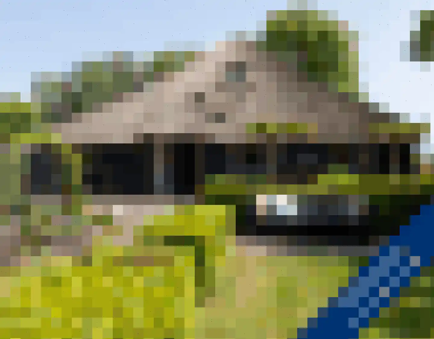 Zuiderpad 18 Giethoorn thumbnail 51