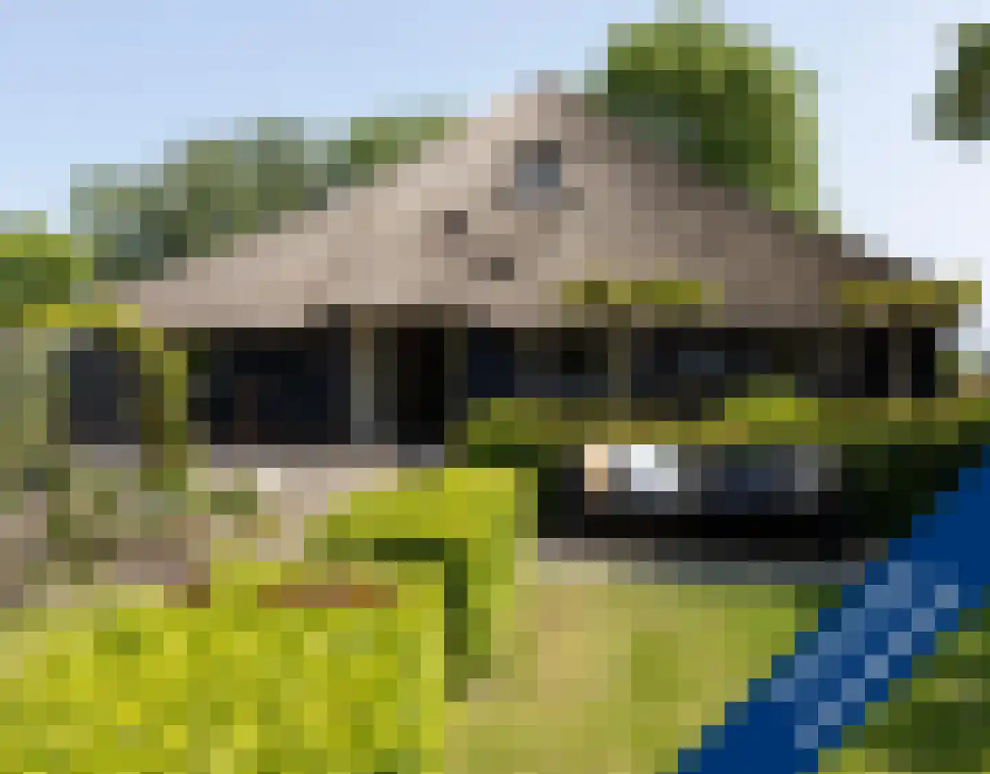 Zuiderpad 18 Giethoorn thumbnail 51