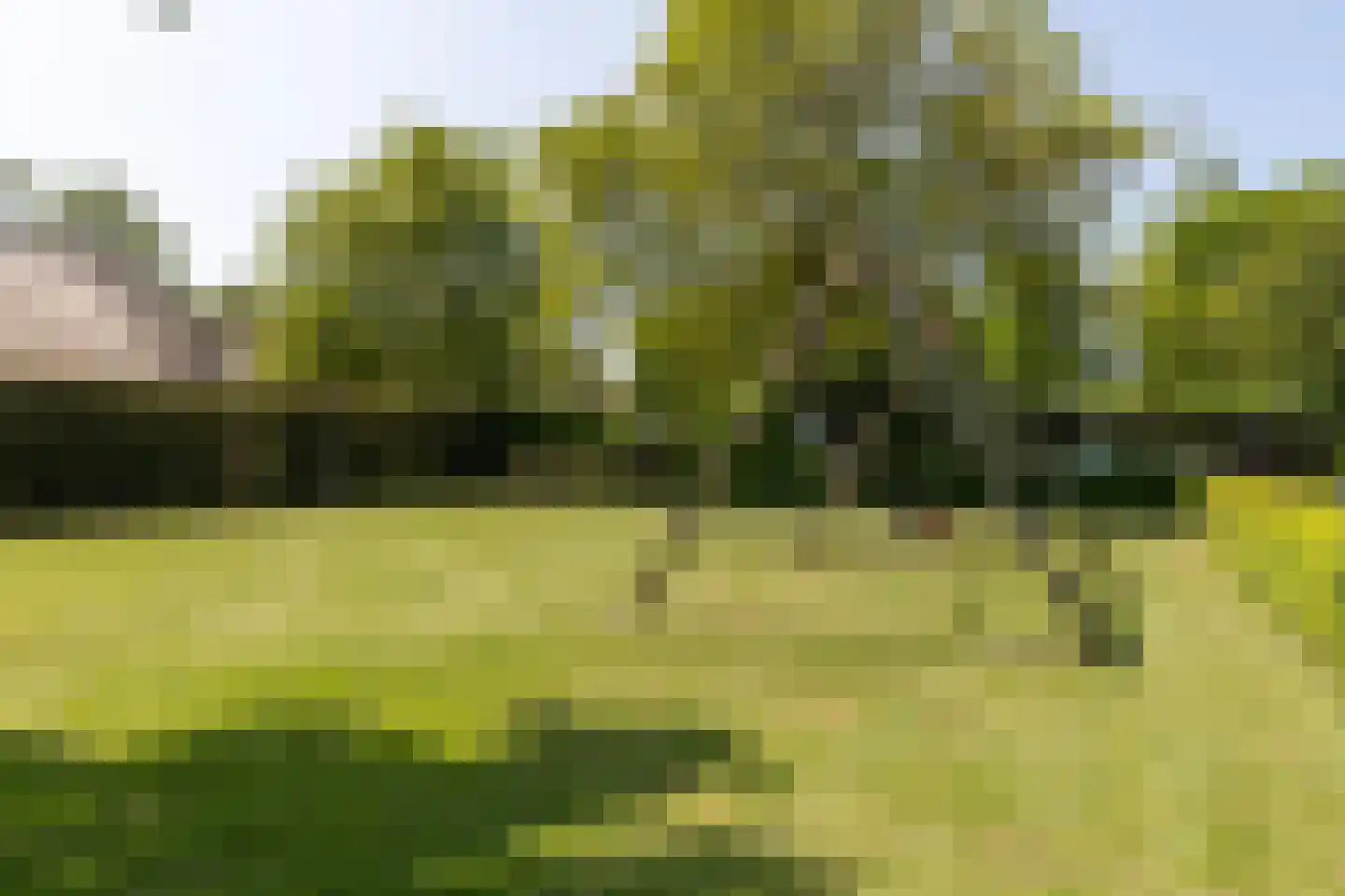 Zuiderpad 18 Giethoorn thumbnail 68