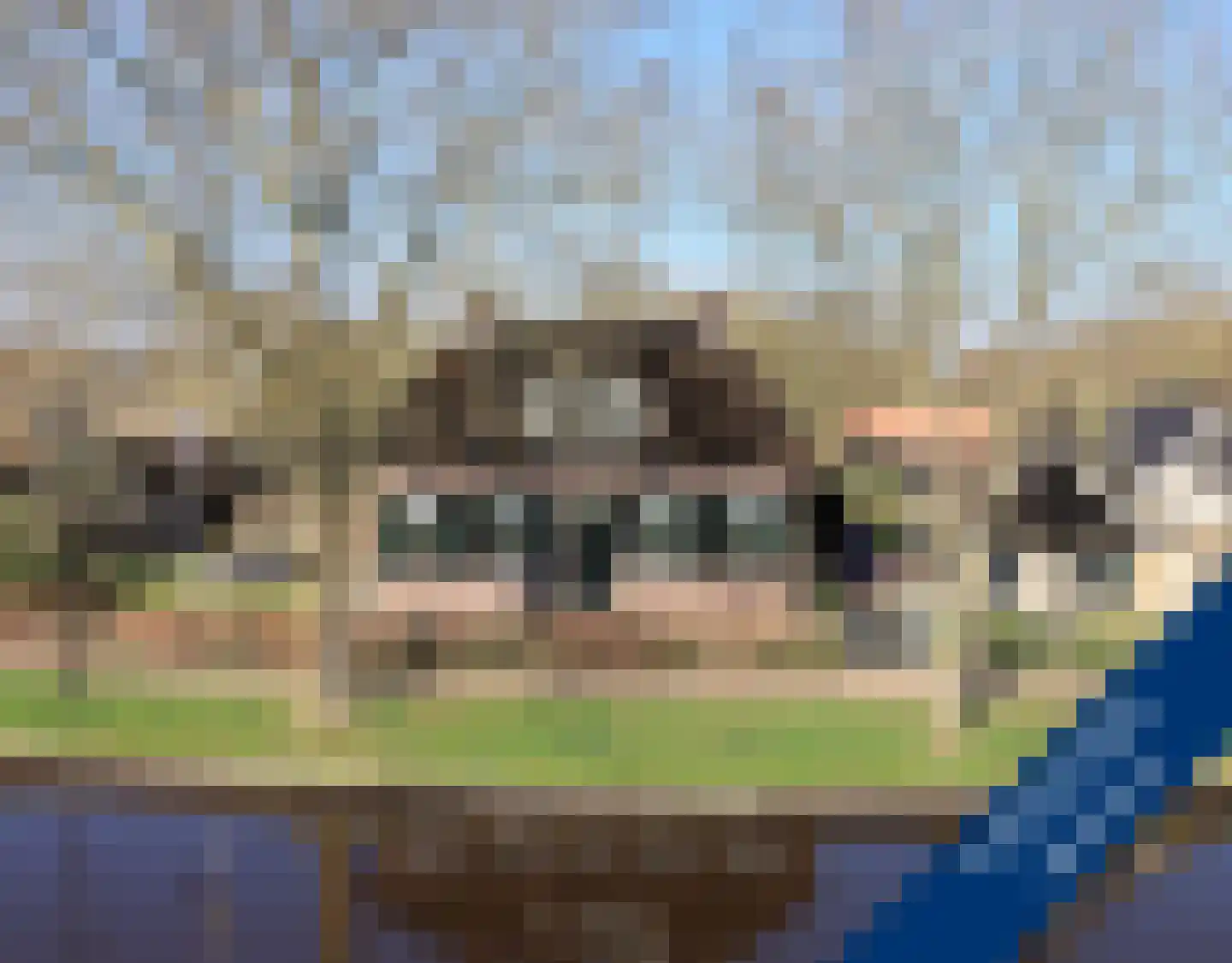 Zuiderpad 18 Giethoorn thumbnail 7