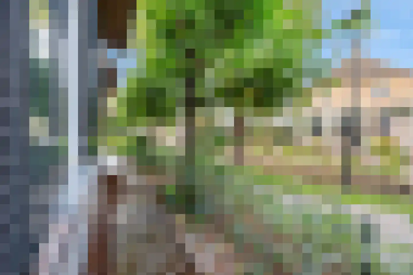 Zuiderpad 23 Giethoorn thumbnail 10