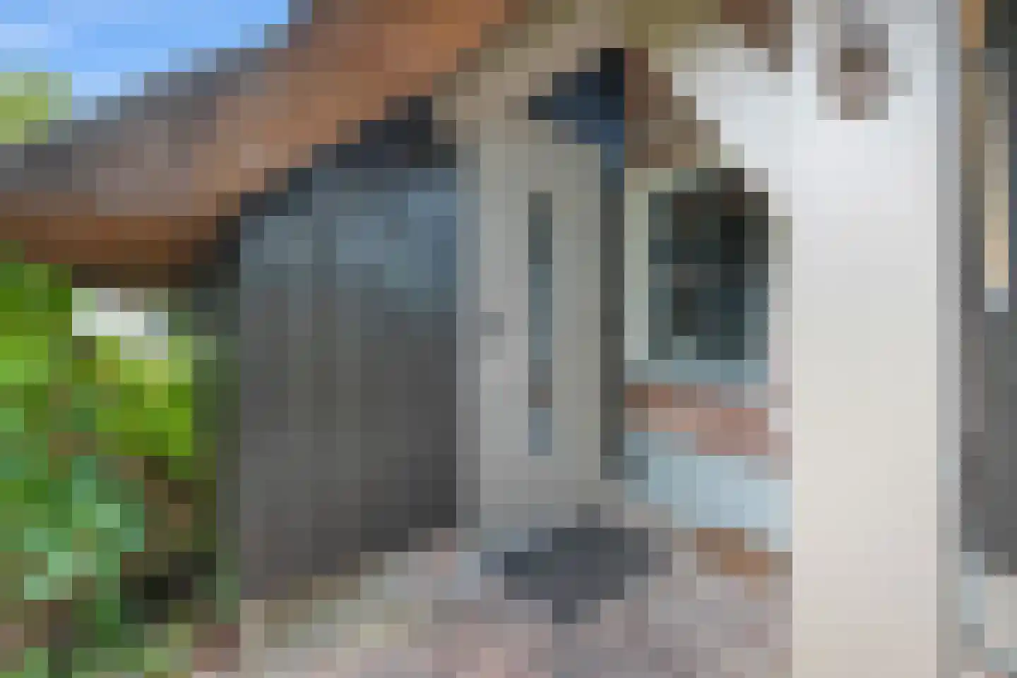 Zuiderpad 23 Giethoorn thumbnail 11