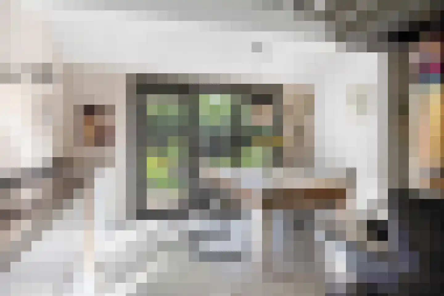 Zuiderpad 23 Giethoorn thumbnail 13