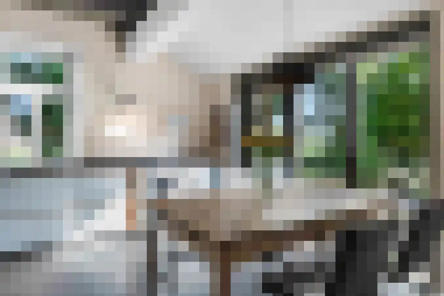 Zuiderpad 23 Giethoorn thumbnail 14