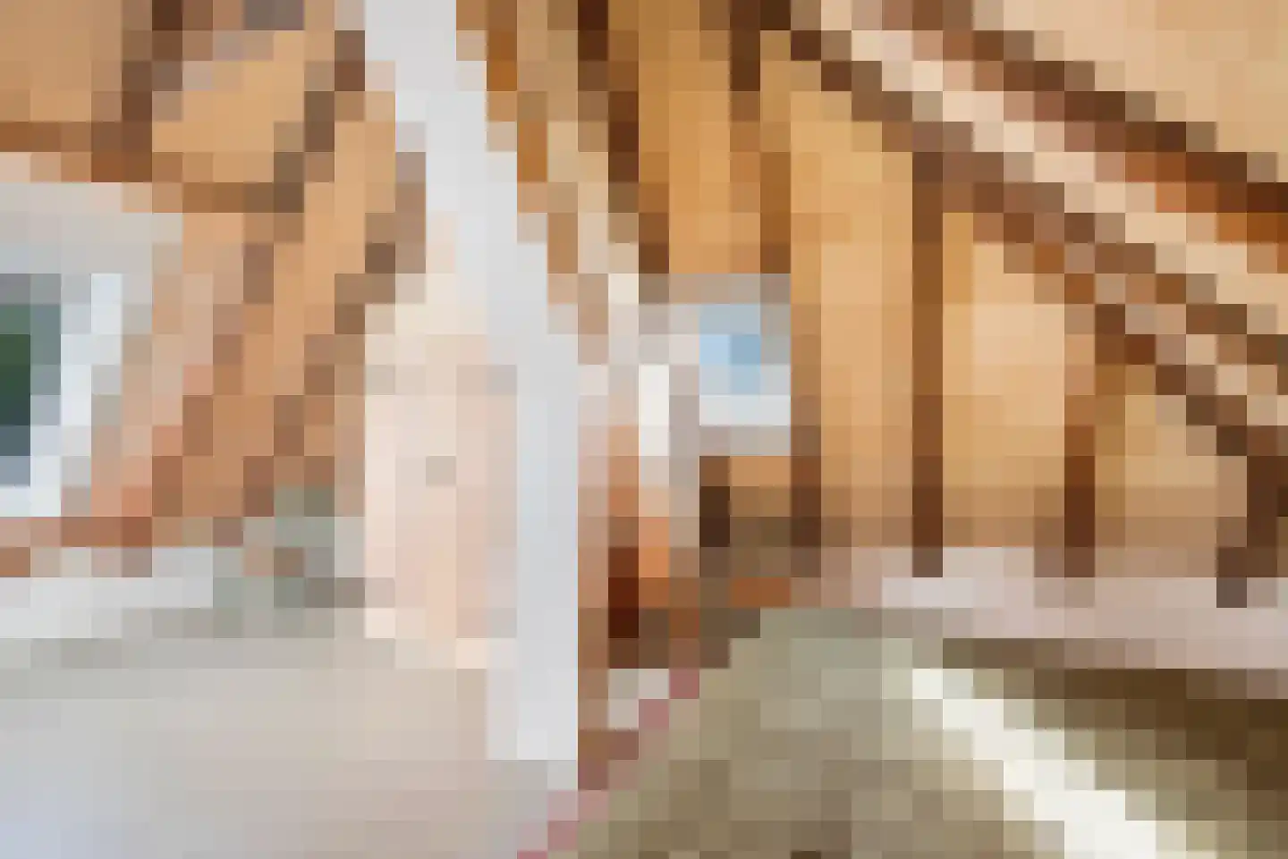 Zuiderpad 23 Giethoorn thumbnail 23