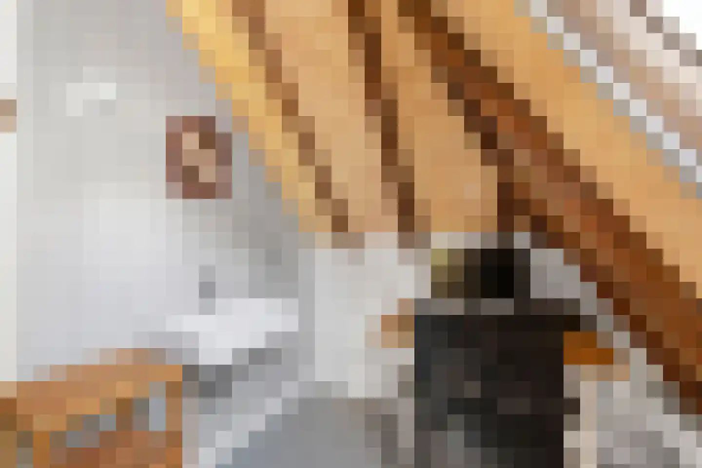 Zuiderpad 23 Giethoorn thumbnail 25