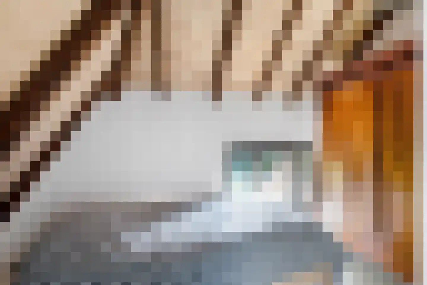 Zuiderpad 23 Giethoorn thumbnail 30