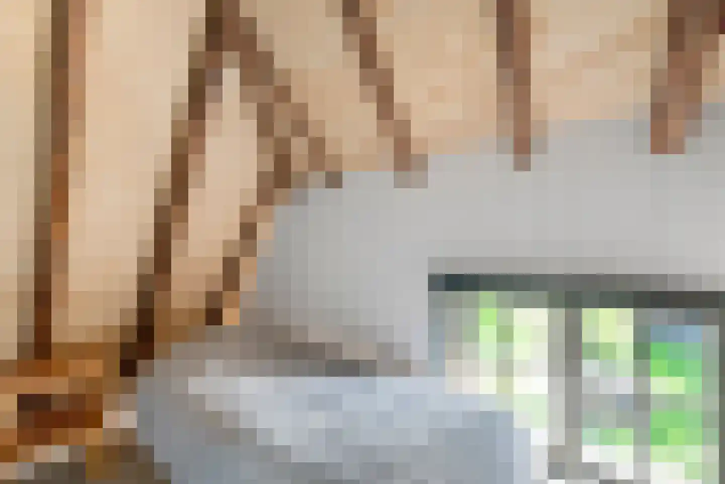 Zuiderpad 23 Giethoorn thumbnail 31