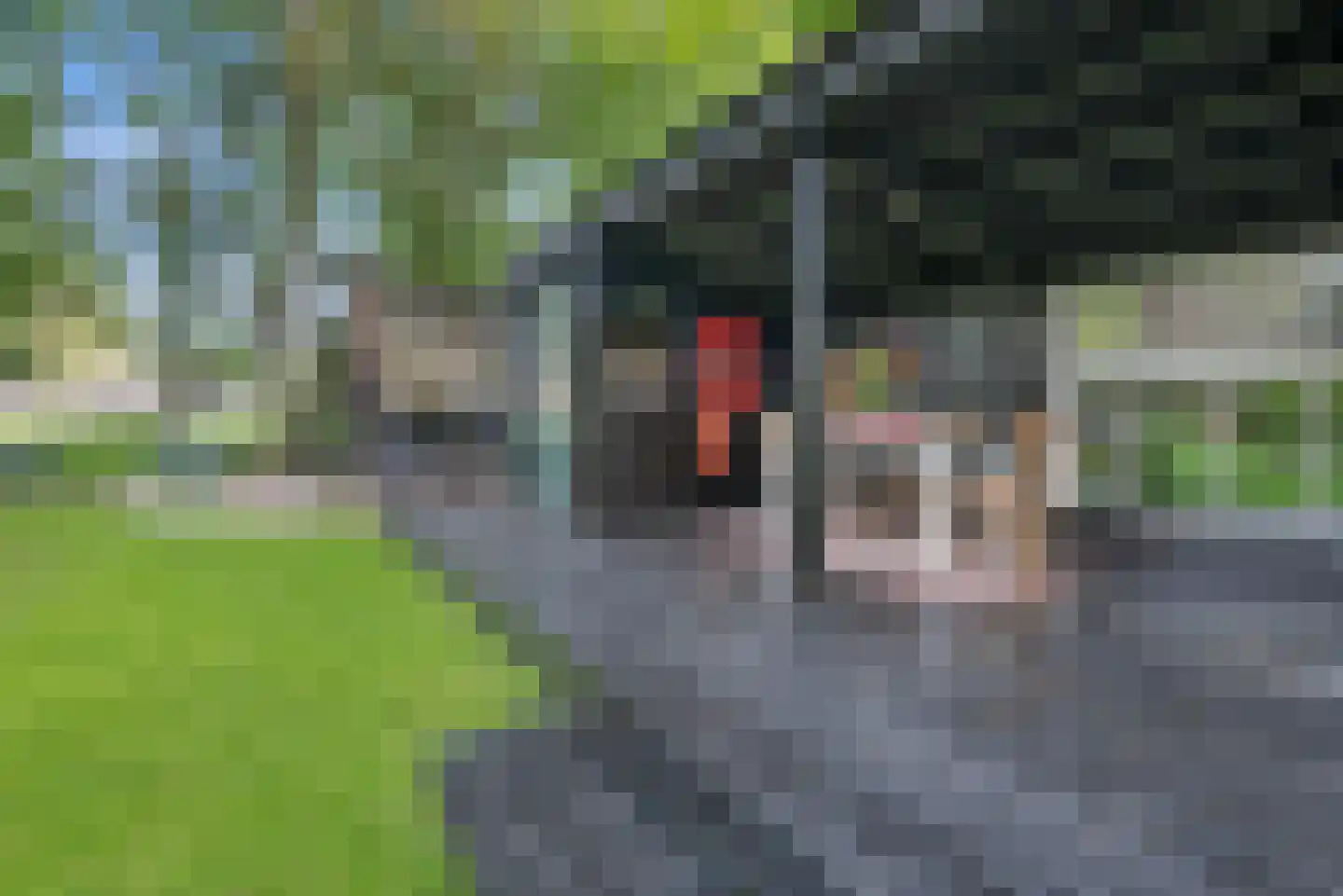 Zuiderpad 23 Giethoorn thumbnail 35