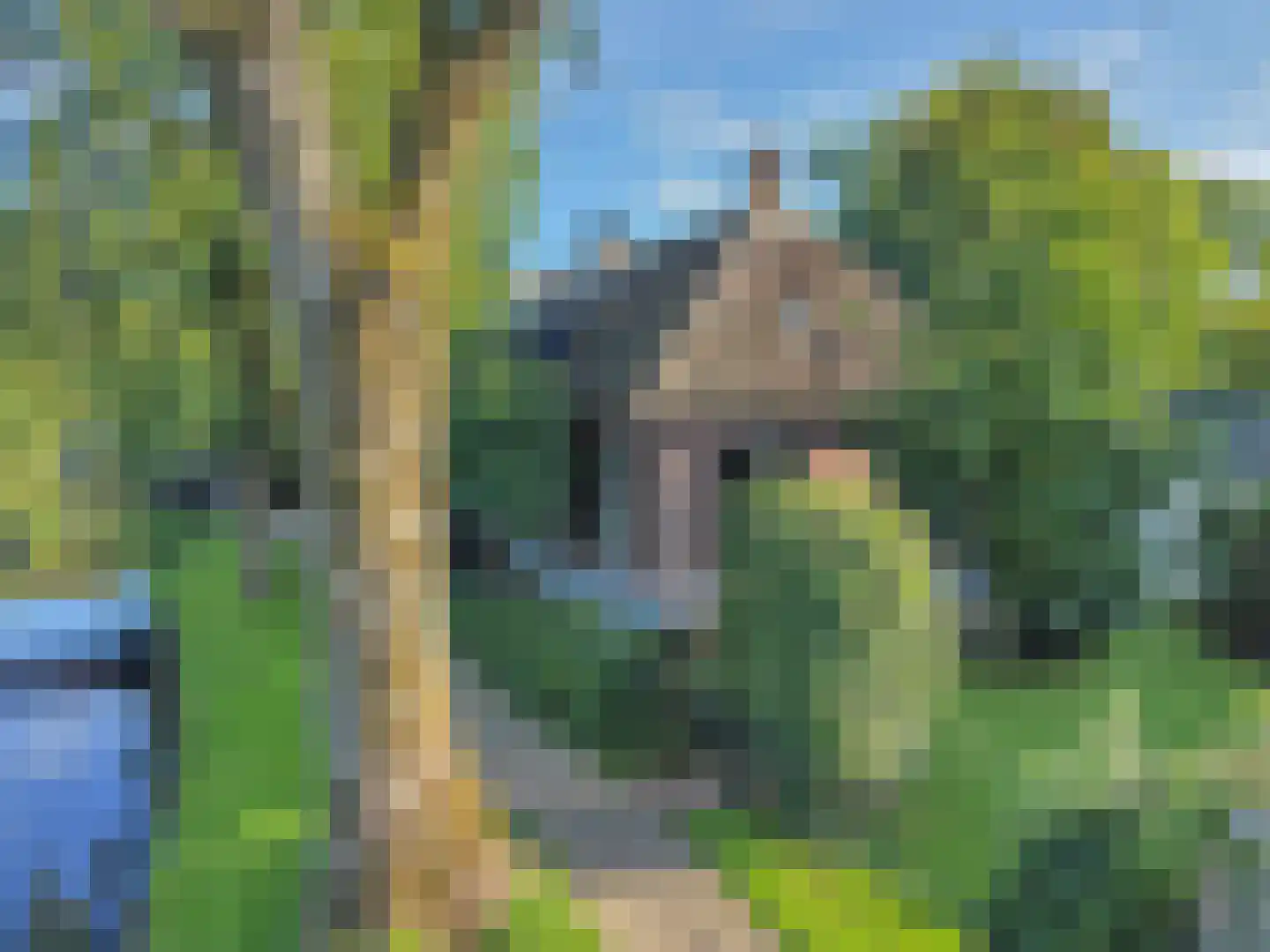 Zuiderpad 23 Giethoorn thumbnail 36