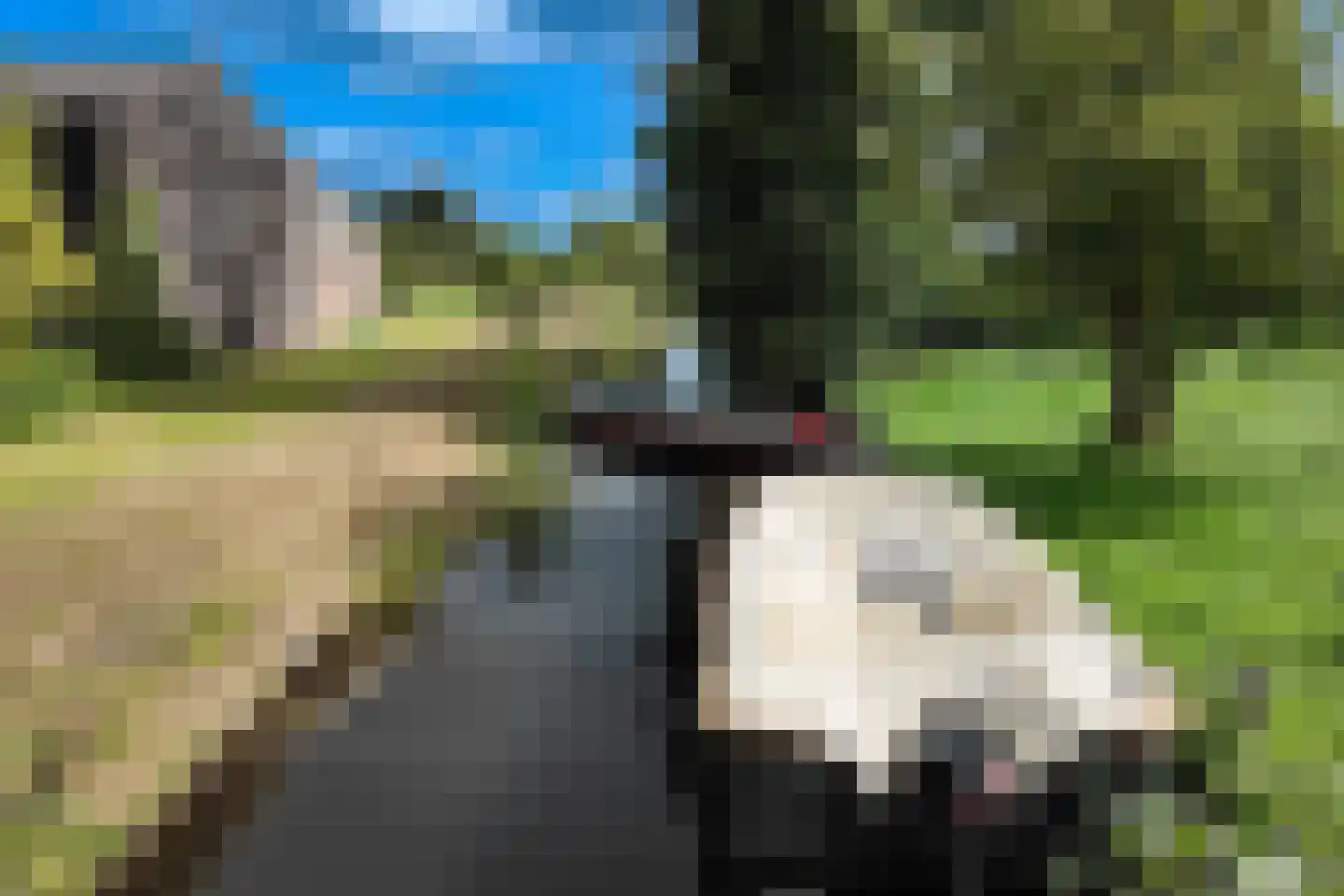Zuiderpad 23 Giethoorn thumbnail 37