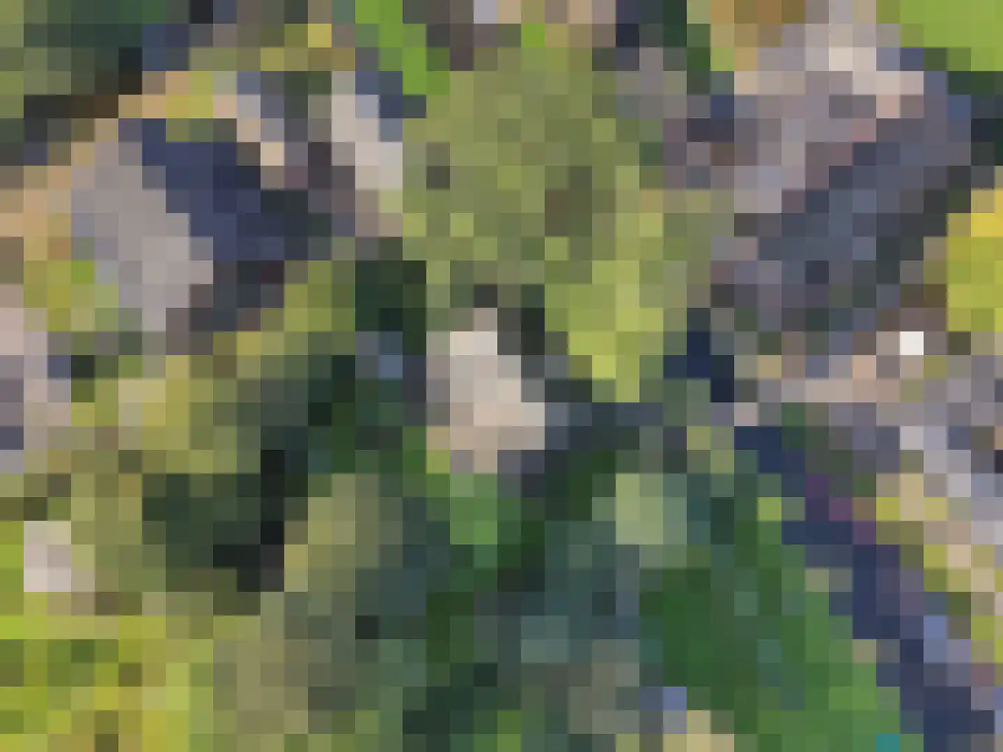 Zuiderpad 23 Giethoorn thumbnail 40