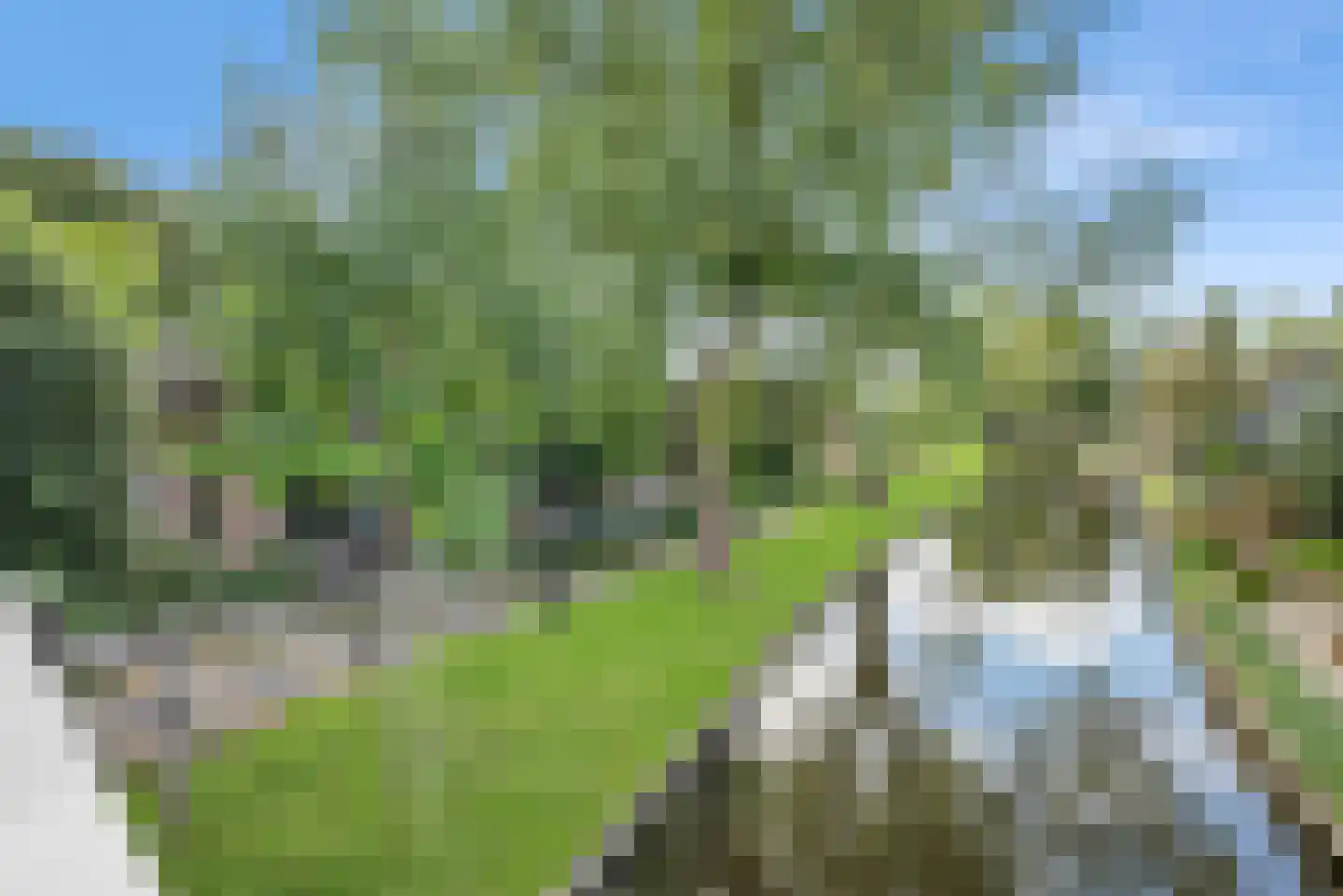Zuiderpad 23 Giethoorn thumbnail 5