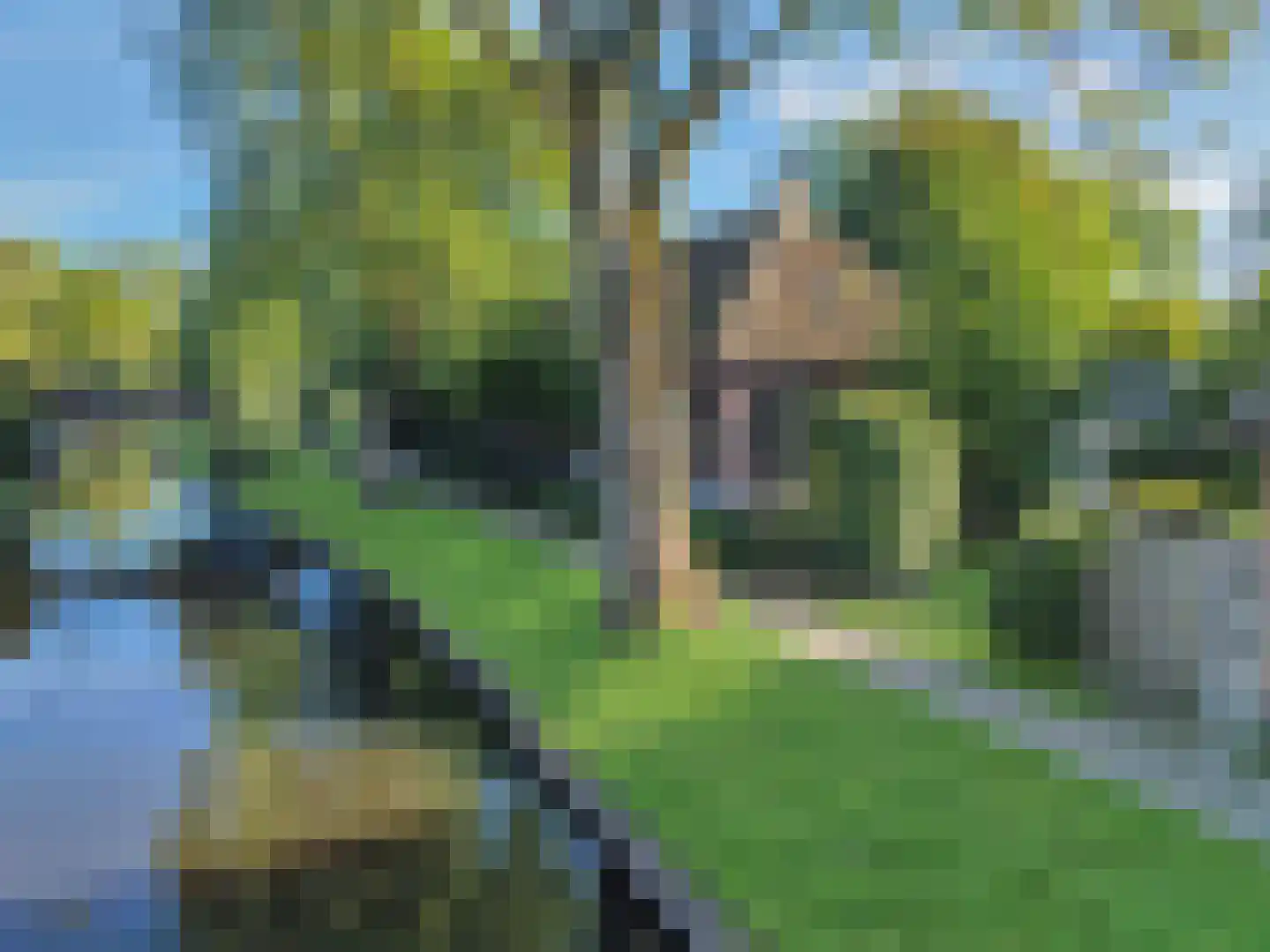 Zuiderpad 23 Giethoorn thumbnail 7