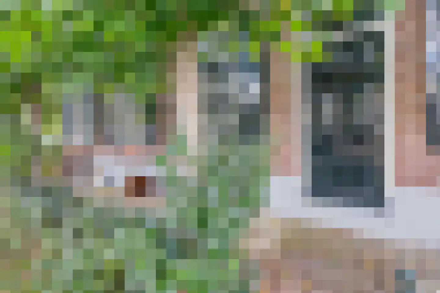 Zuiderpad 23 Giethoorn thumbnail 9