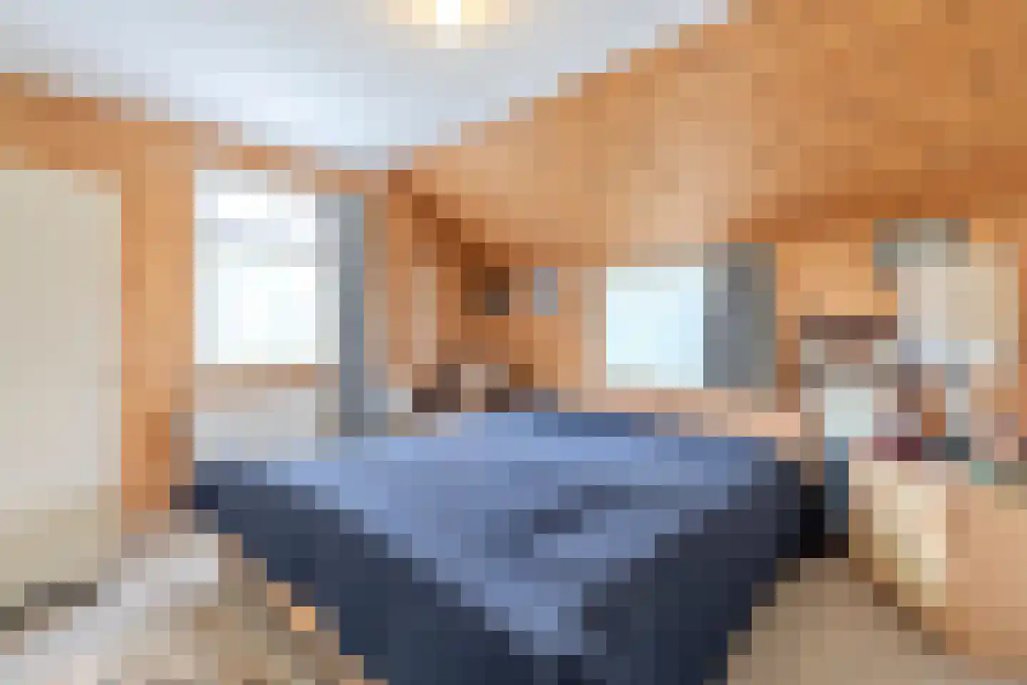 Zuiderpad 36 Giethoorn thumbnail 20