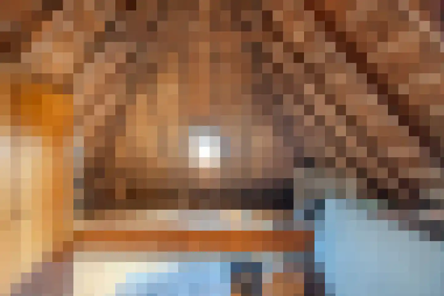 Zuiderpad 36 Giethoorn thumbnail 32